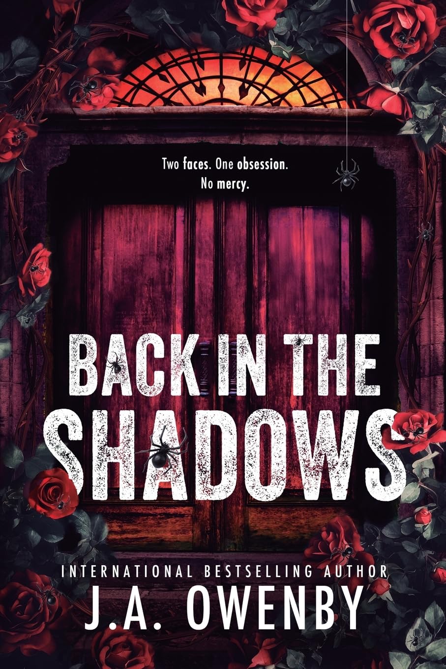 Back in the Shadows: A Dark Stalker Romance: 2