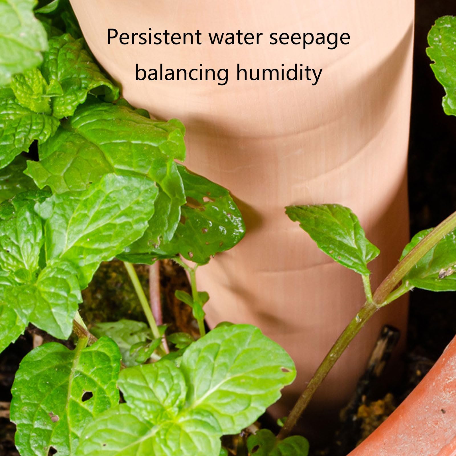 Generisch 4 Stück niedliche Bewässerungskugeln, langlebige Bewässerungskugeln, Wassergerät, Bewässerungssystem für Gartenpflanzen, Geräte für Außenpflanzen, für Innengläser