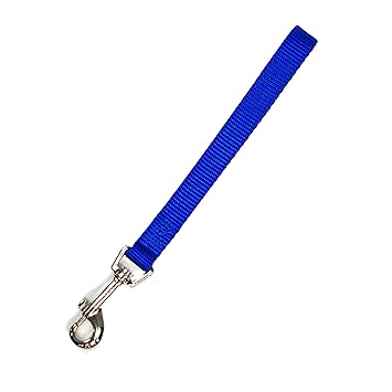 Blue-9 Pet Products Lead Dog Training Leash (Blue)
