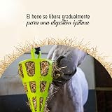 Ver la foto 3