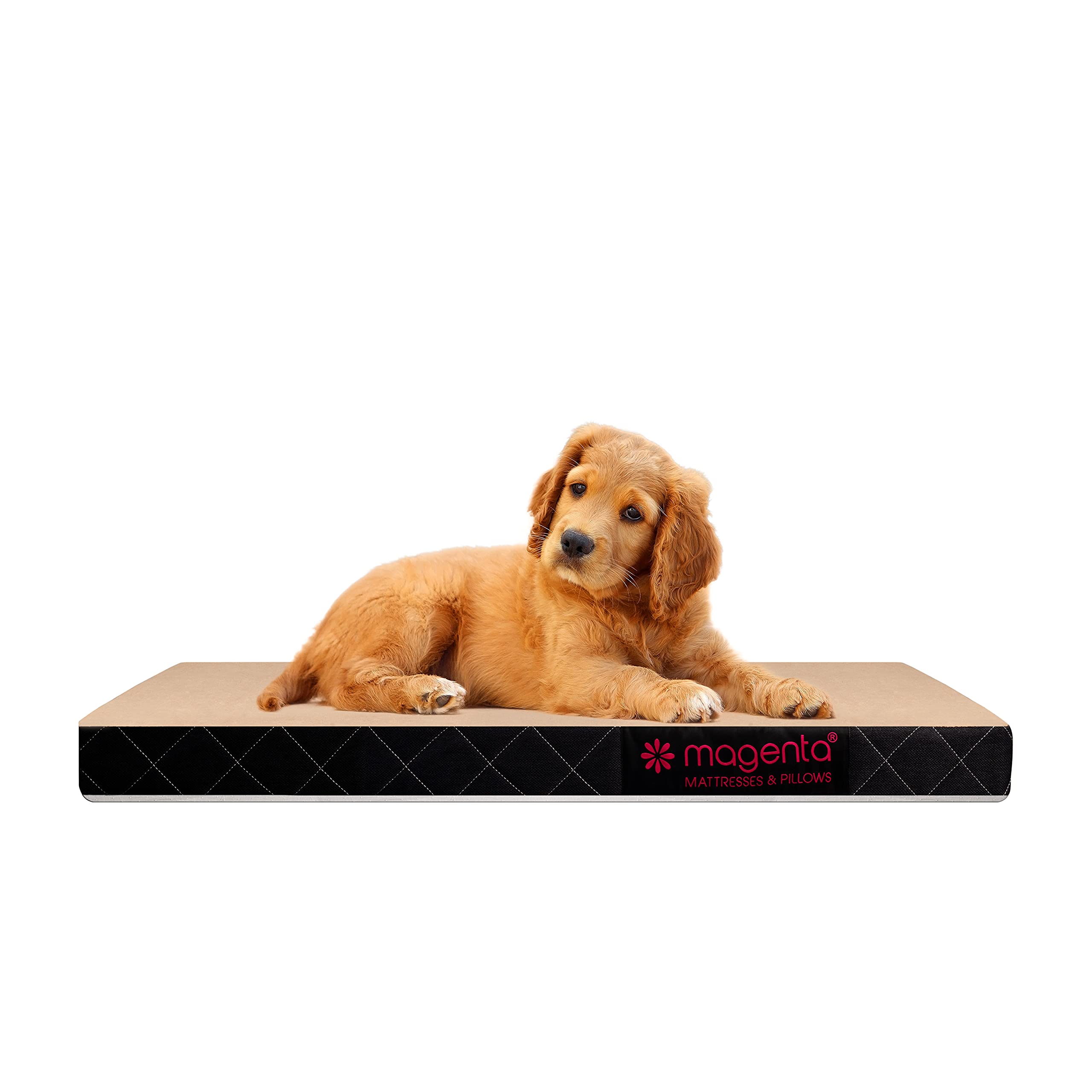 magenta- High Density Foam Orthopaedic Mattress for Dog, Mattress for Large, Jumbo, Medium Dogs, Waterproof Mattress with Removable Washable Zipper Cover (Pack of 1) (Extra Large) (B09HCS957P) Amazon Price History, Amazon Price Tracker