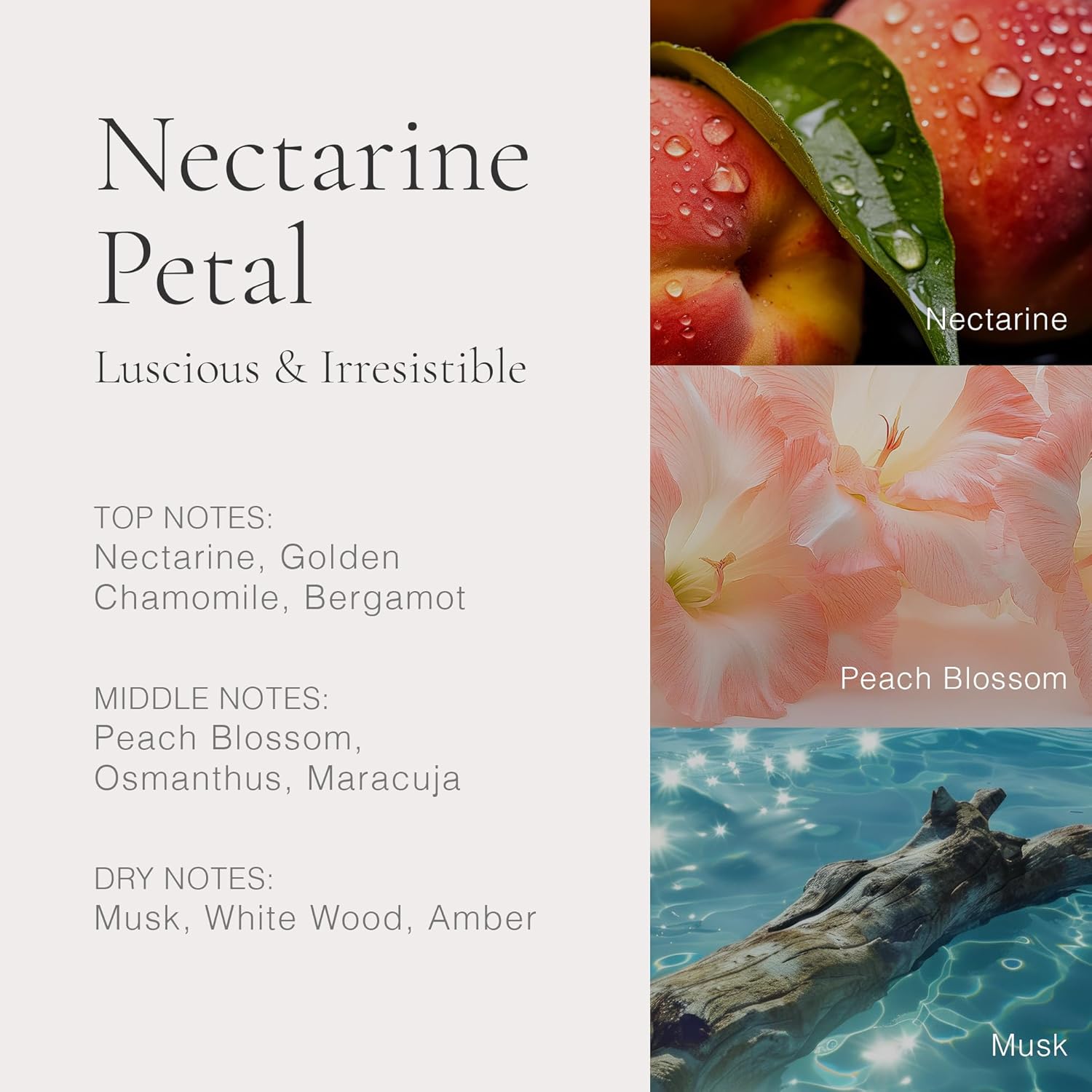 CLEAN H2EAU Fragrance Discovery Gift Set, Travel Mini Size, Water-Based Layerable Daily Perfume, Cruelty-Free, Ethyl Alcohol, Phthalate & Paraben Free - Image 8