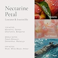 Vista 6 de CLEAN H2EAU Fragrance Discovery Gift Set, Travel Mini Size, Water-Based Layerable Daily Perfume, Cruelty-Free, Ethyl Alcohol, Phthalate & Paraben