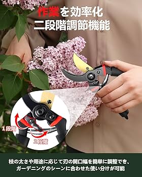 Amazon.co.jp: 剪定ばさみ 【2025人気庭師のおすすめ】 剪定