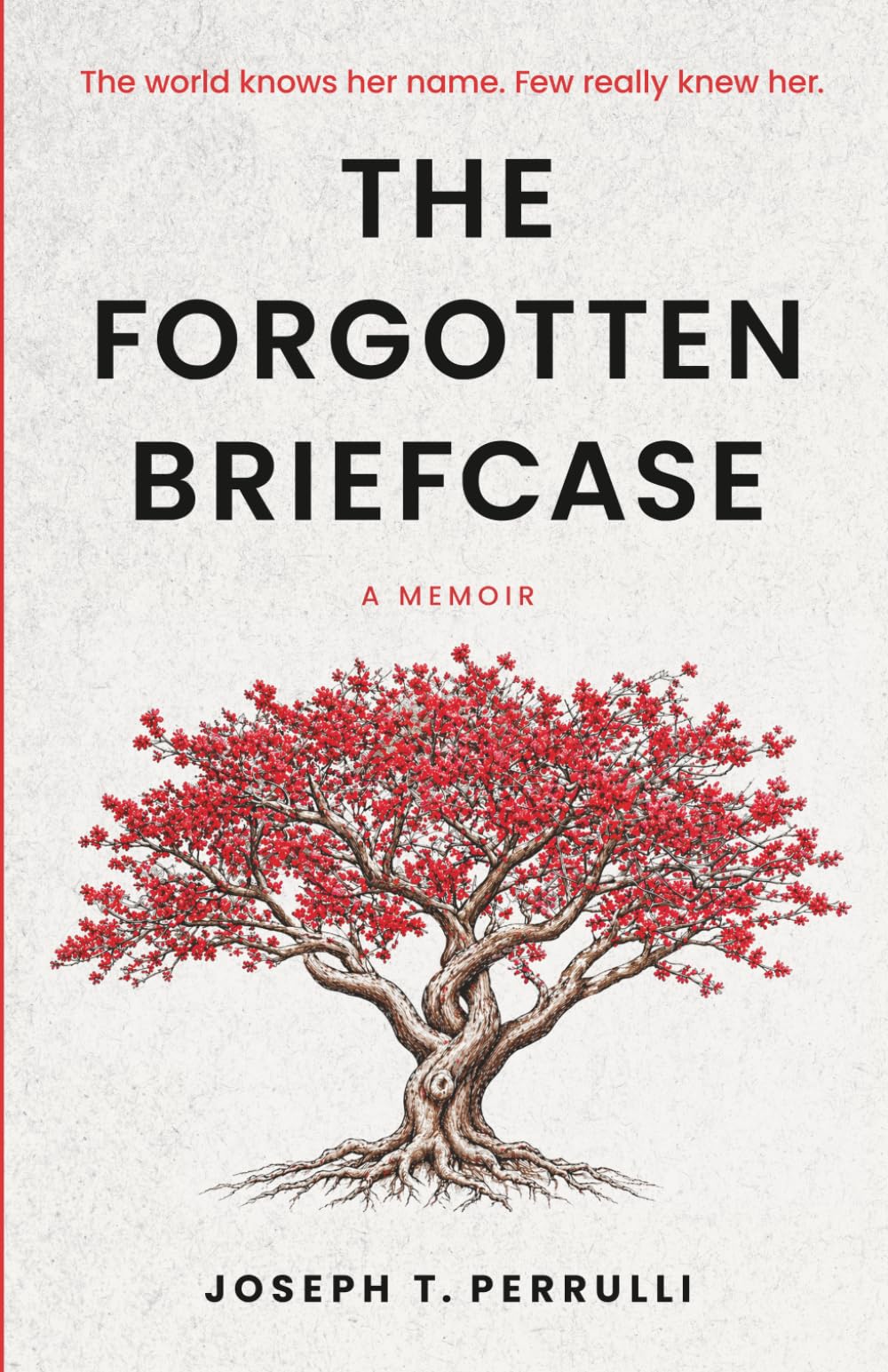 The Forgotten Briefcase: The world knows her name. Few really knew her.