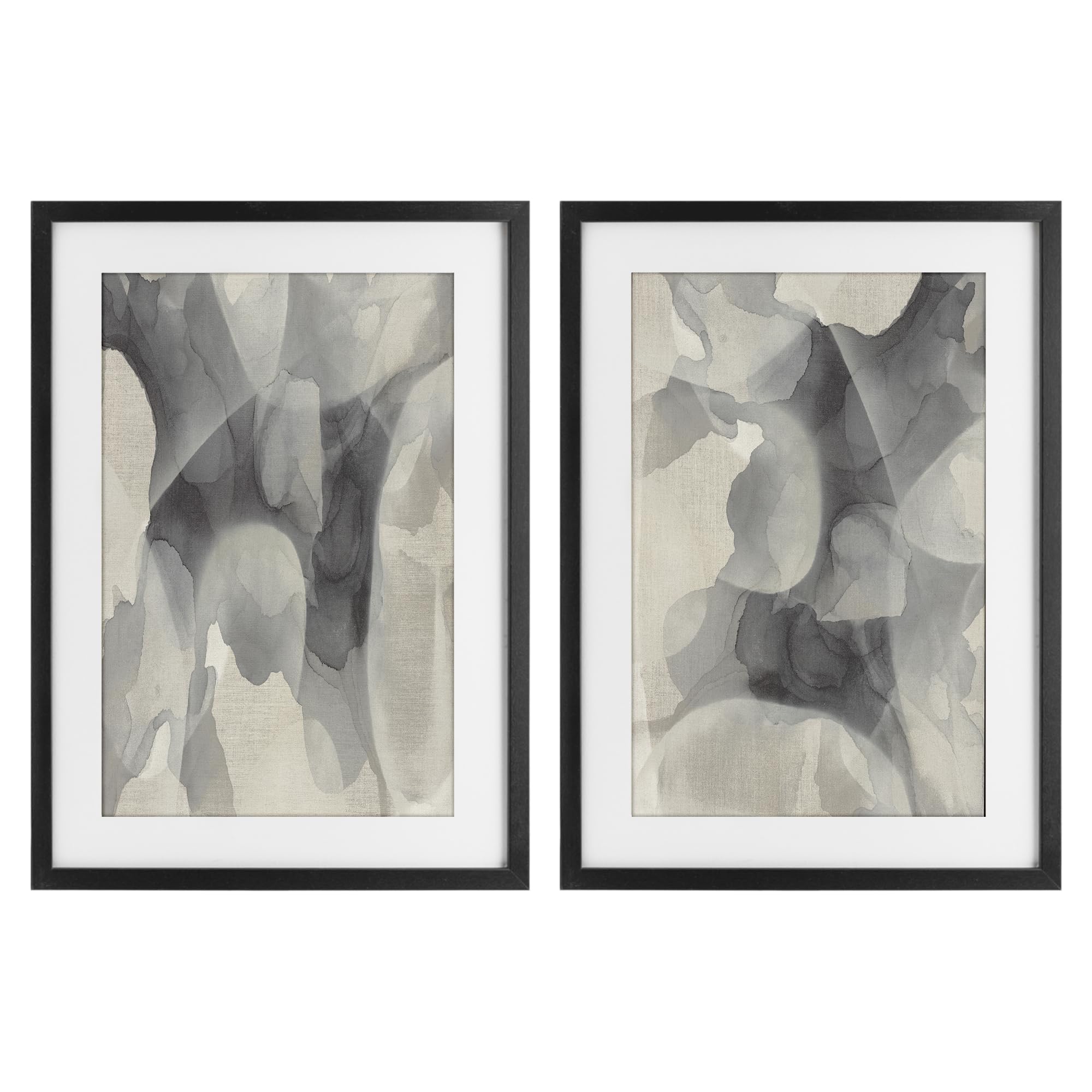 'Mottled Fluid Monochrome'| 2pc Framed Print Under Glass Set