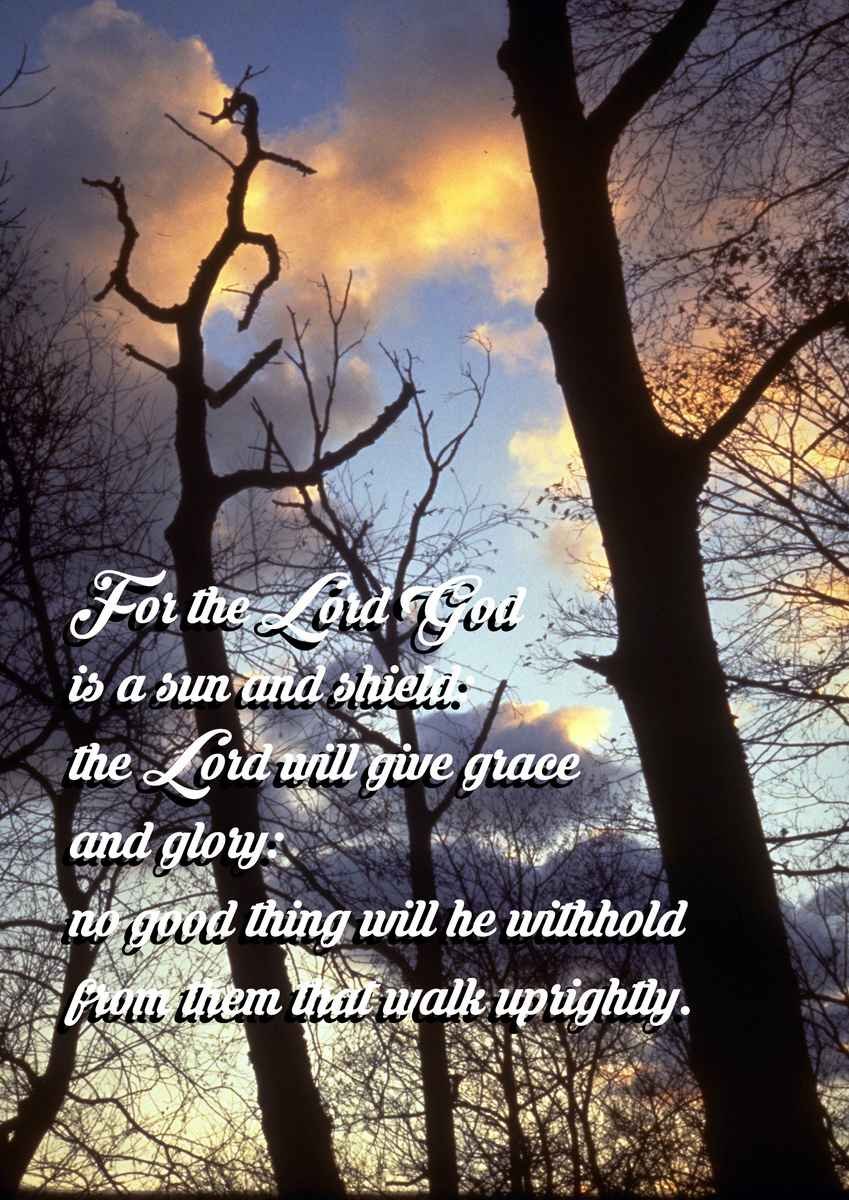 Bible Quote Verse - David also took Ahinoam of Jezreel; and they were also both of them his wives. - A4 Photo Print