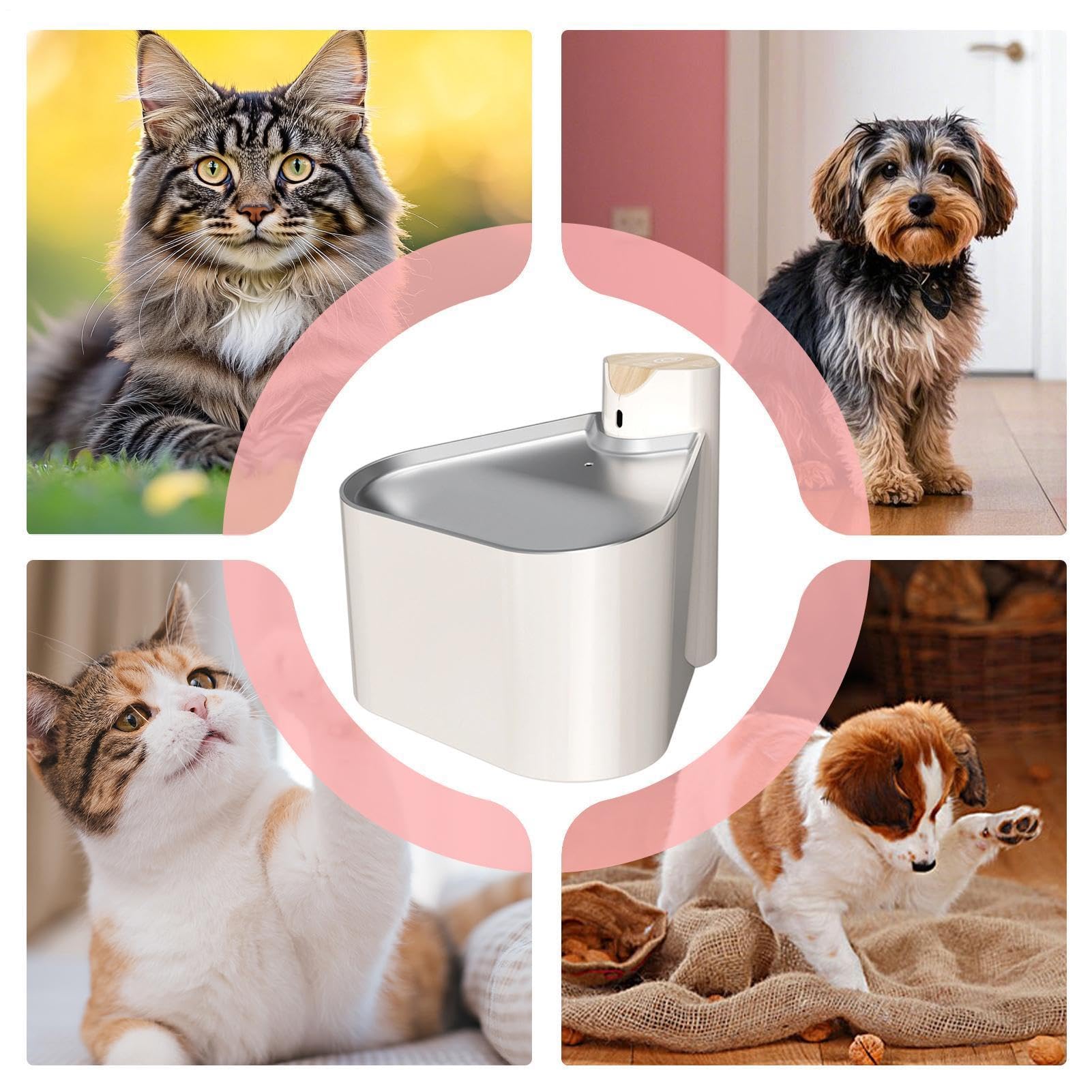 Fuente De Agua Para Gatos automática 1,6 L 2000 mAh bandeja de acero | Dispensador Automático De Agua Para Salón Balcón Tienda Mascotas Exterior Perro Cachorro Y Gatito
