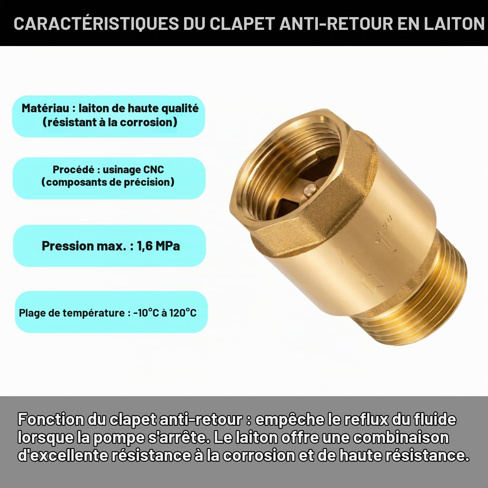 Clapet anti-retour en laiton 1 pouce,anti-refoulement,clapet de retour 1 pouce,antirouille (1Pcs 1” AG À IG)