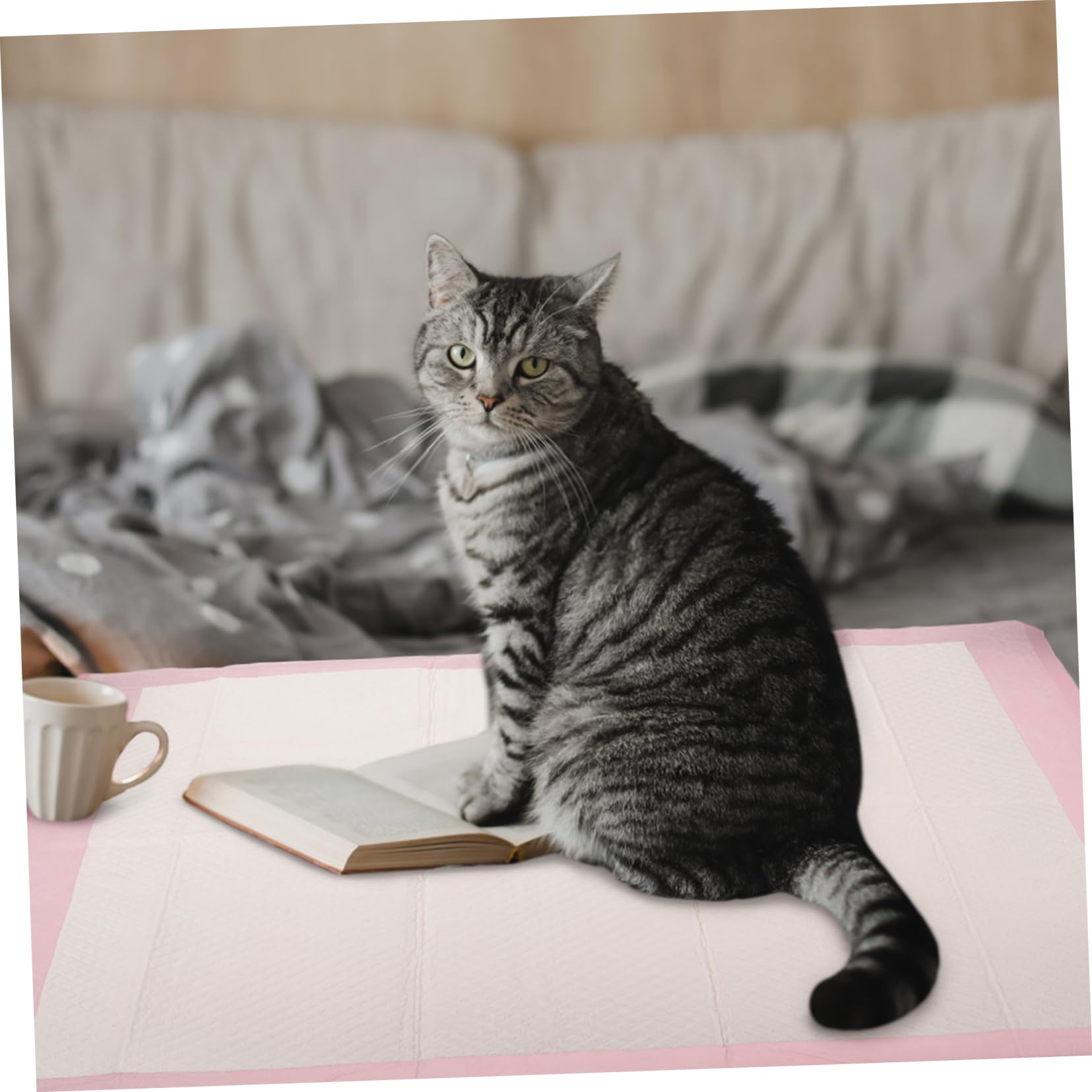 VICASKY Hundetraining Pads Super Saugfähige Urinunterlagen für Welpen Katzen und Andere Haustiere für Stubenreinheit Wiederverwendbar und Auslaufsicher