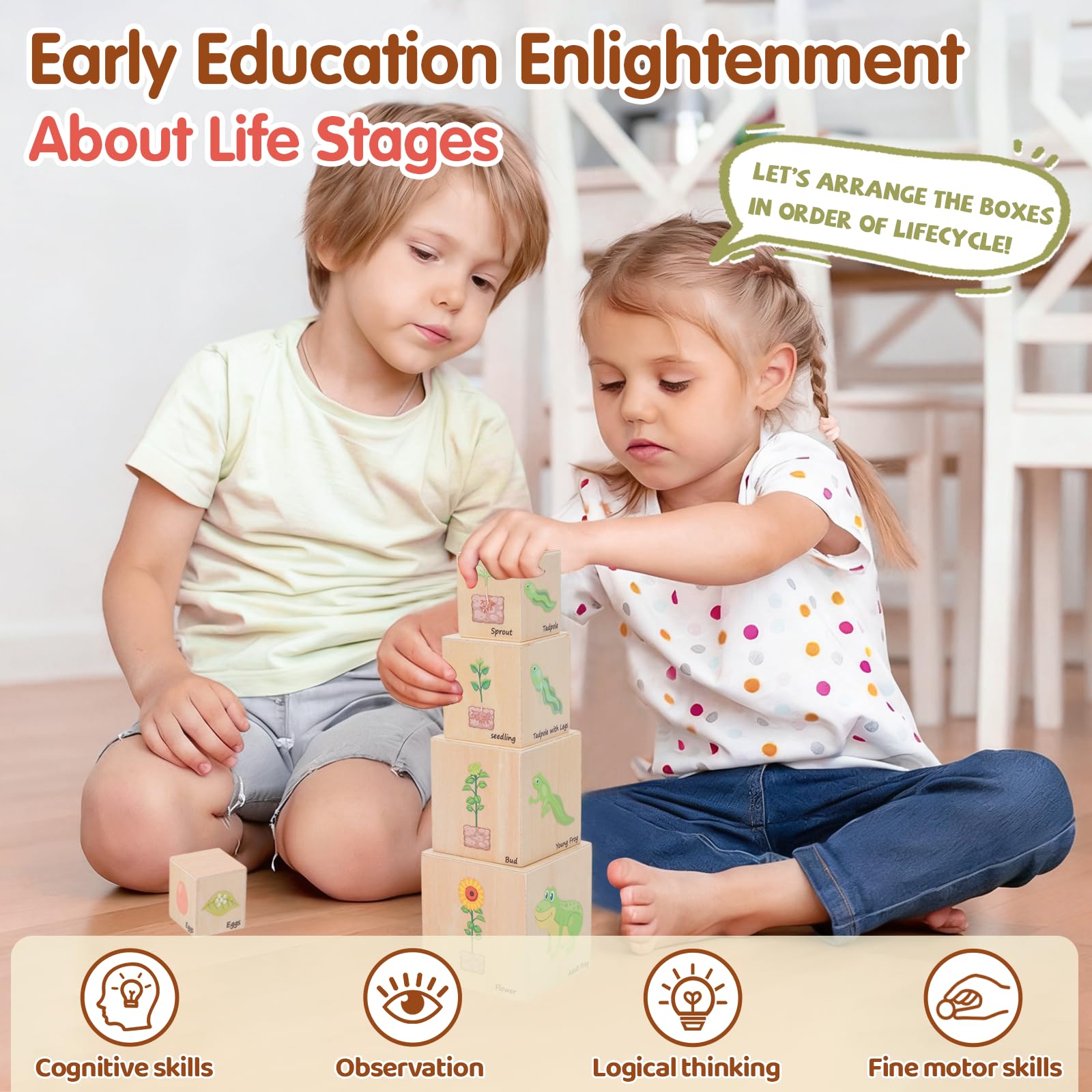 Bloques de anidación de madera para el ciclo de vida, juguetes Montessori de clasificación y apilamiento para niños, cajas de cubo de aprendizaje educativo preescolar para niños pequeños a partir de 3 5