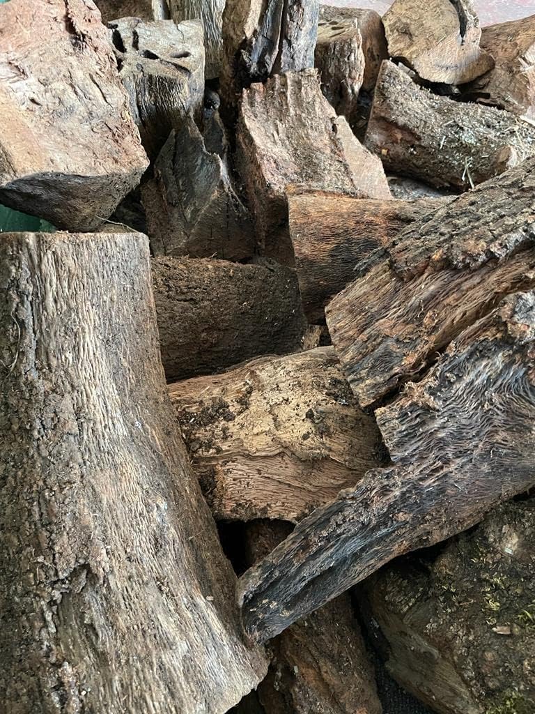 Mugar- Leña para Chimenea, Estufa o Barbacoa. Leña de Encina Tronco de leña Mediano Especial para Chimeneas, barbacoas o Estufas (Caja 30 kgs)
