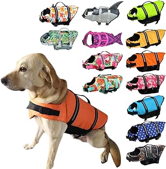 Amazon | 【24HOURS】ライフジャケット 犬 犬用 オレンジ ドッグ Dog
