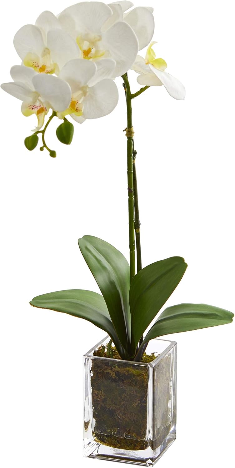 Nearly Natural 20in. Orchid Phalaenopsis Artificial Arrangement in Vase