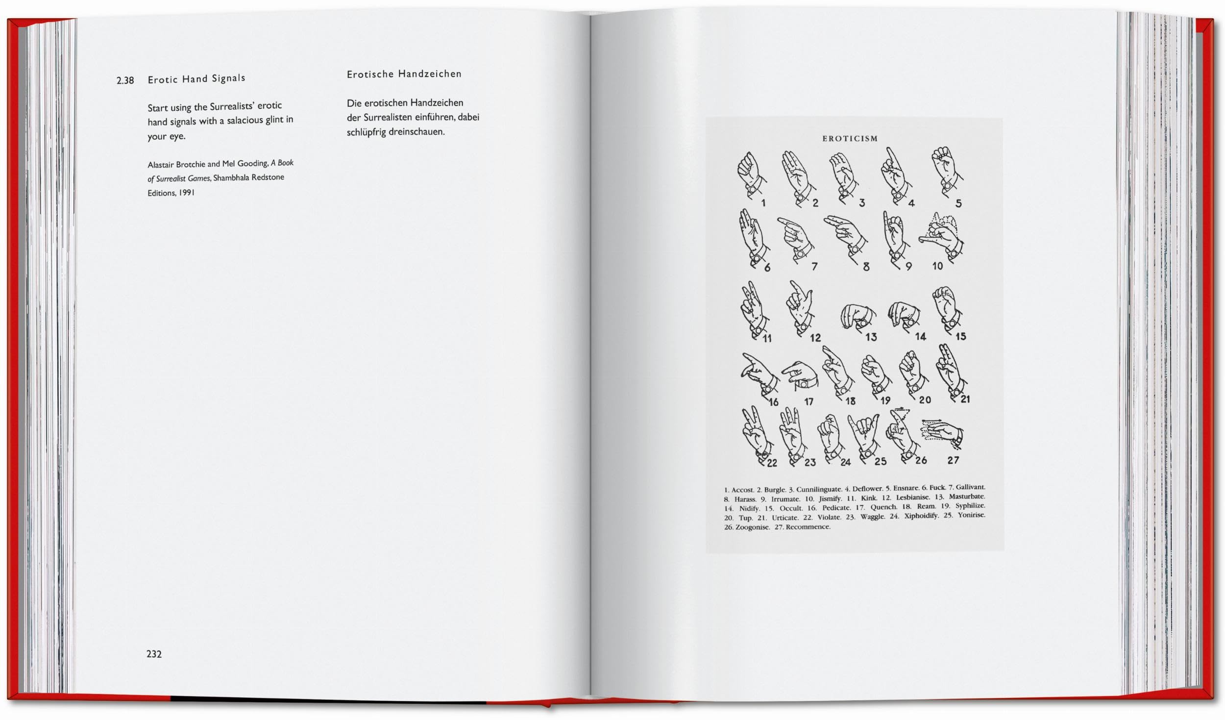 Carsten Höller. Book of Games (Varia)