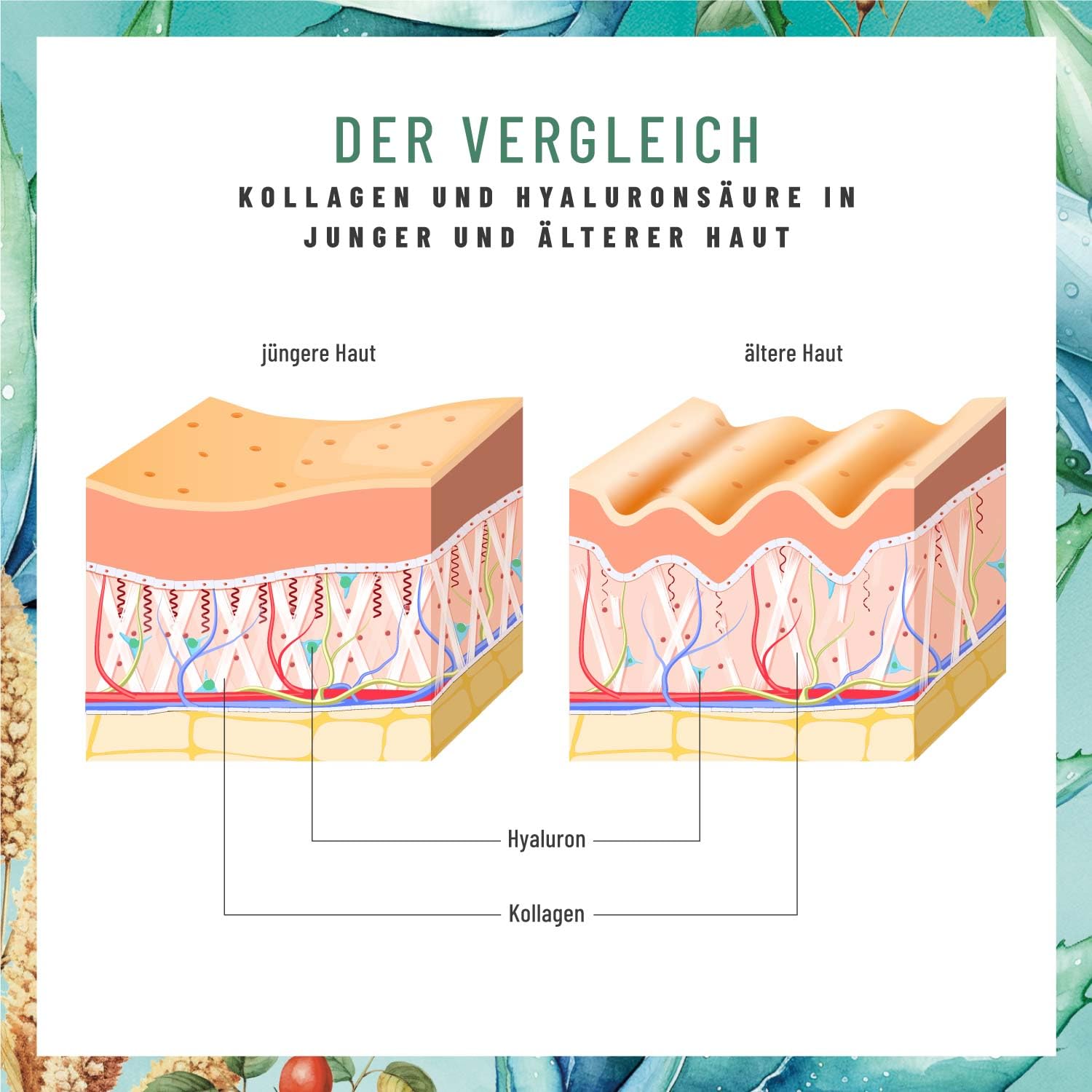 NATURTREU® Hyaluron Kapseln mit 500 mg Hyaluronsäure hochdosiert mit Aloe Vera, Biotin & Vitamin C - 90 Kapseln für Haut* und Gelenke** - Natürlich und vegan