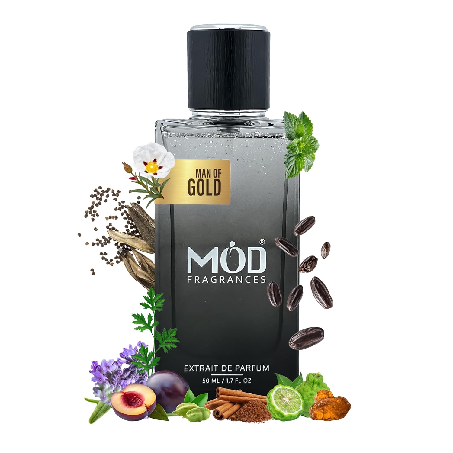 Mod Fragrances Man of Gold Perfume for Men – Long Lasting Woody, Spicy Extrait de Parfum – Premium Perfume Inspired by Le Male Elixir Absolu