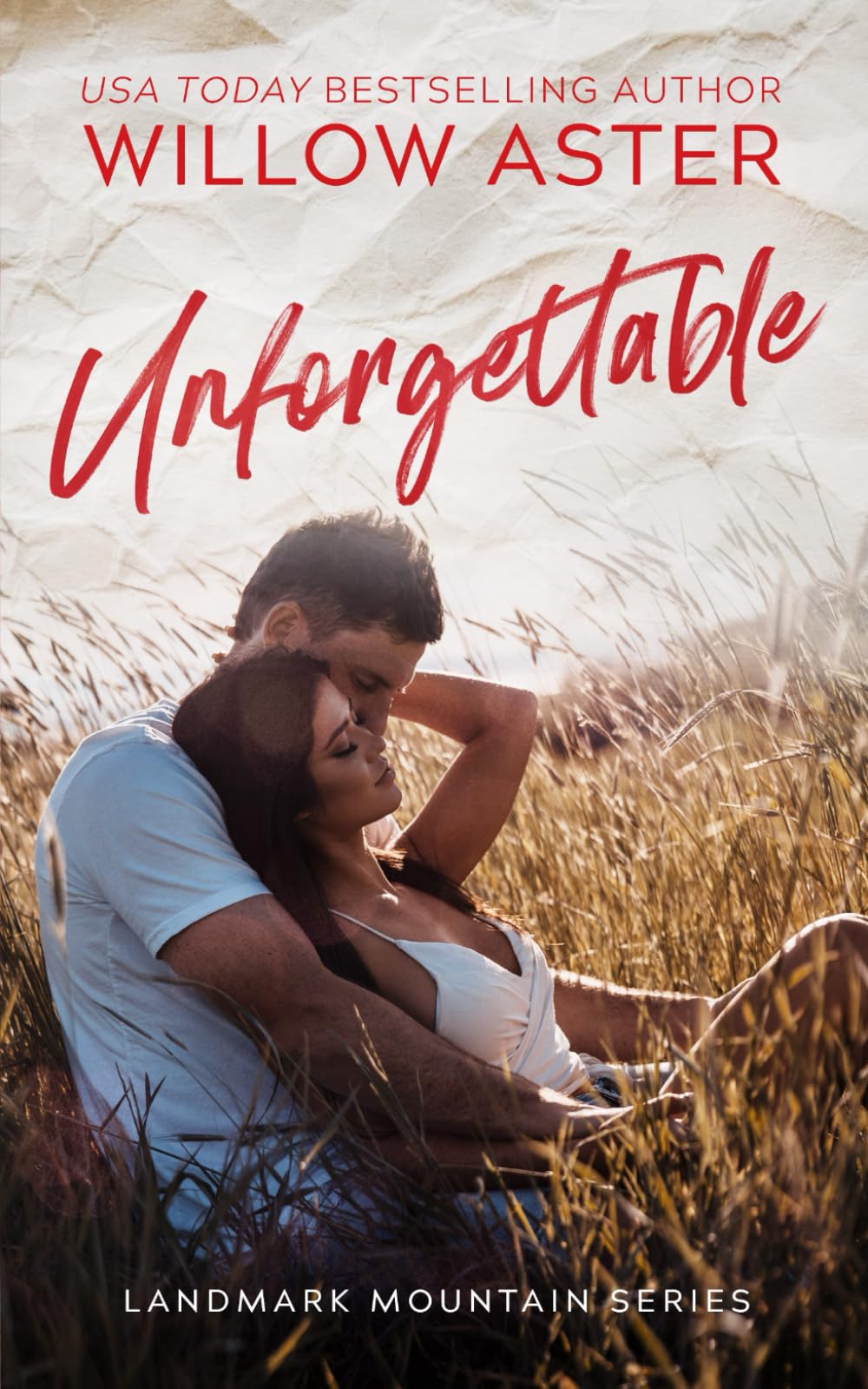 Unforgettable: A Small Town Enemies-to-Lovers Romance (Landmark Mountain)