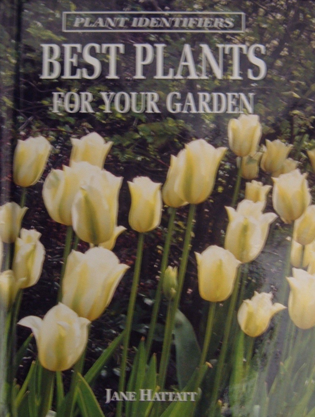 Best plants for your garden (Plant identifiers)