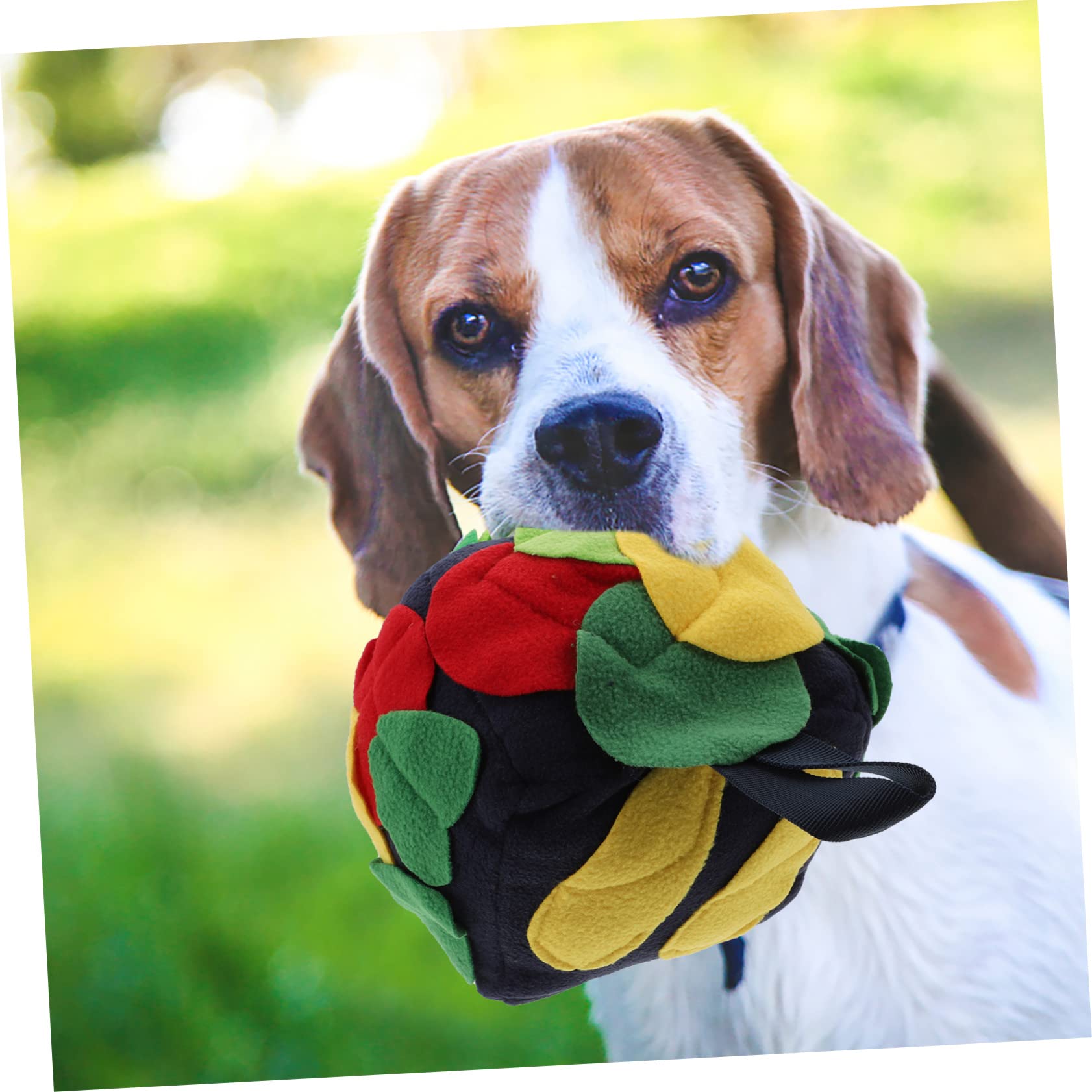 Angoily 2stücke Interaktiver Futterball Für Hunde Schnüffelspielzeug Geistigen Aktivität Robustes Design Vintage Fördert Spiel Und Training Für Kleine Und Mittelgroße Hunde