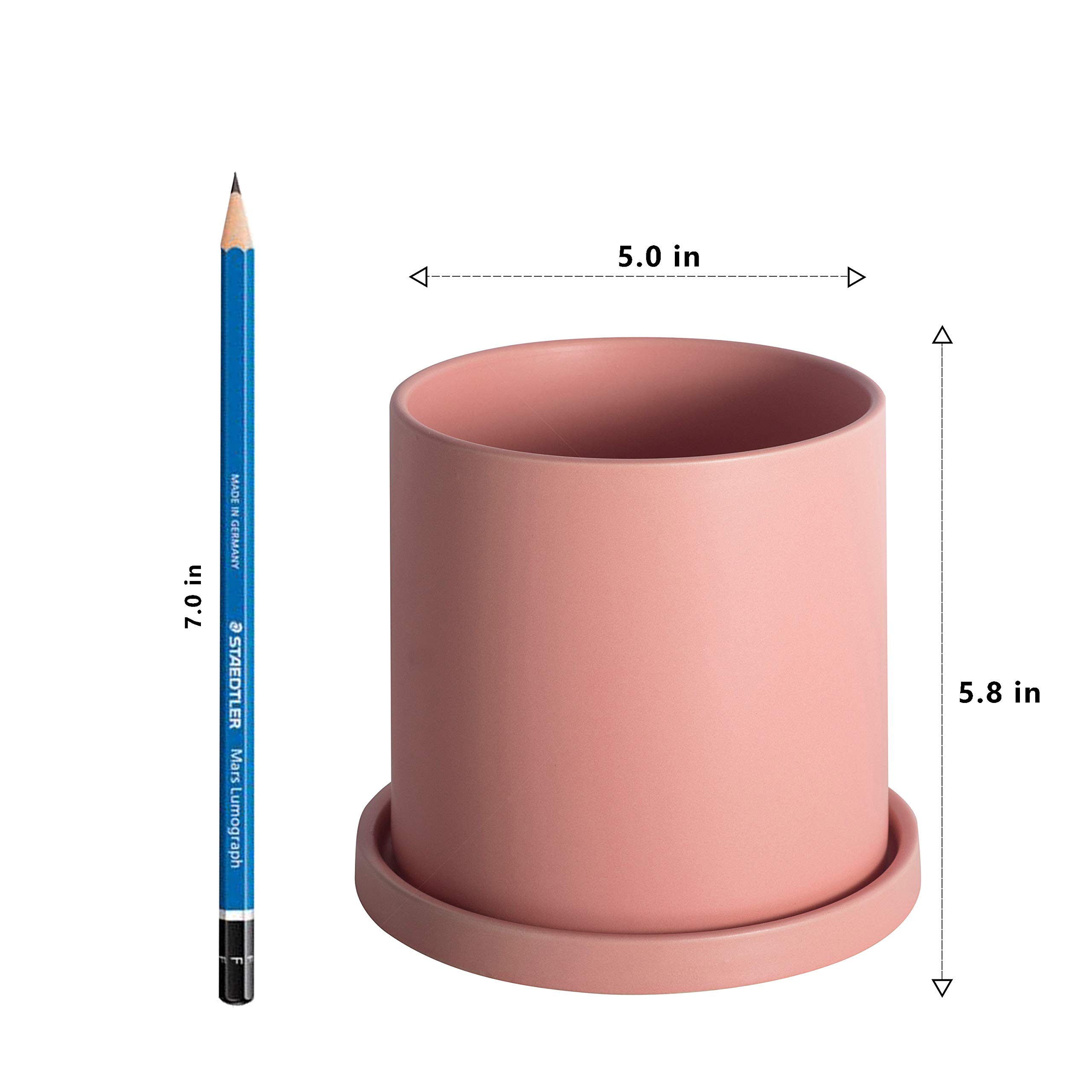 EtooCafe Planters for Indoor Plants Ceramic Flower Succulent Plant Pots with Drain Hole Saucer Decor for Home Office (5 inch Pink)