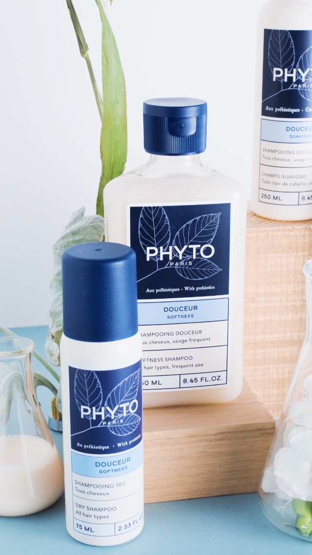 Amazon.com: PHYTO SOFTNESS Conditioner : Beauty & Personal Care