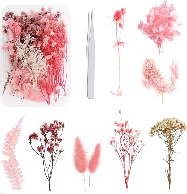 Real Dried Flowers for Crafts Colorful Real Dried Flower Plant DIY Crafts Materials Dried Floral Decorations For Resin Crafts Gift Card(About 8-9 Different Kinds)