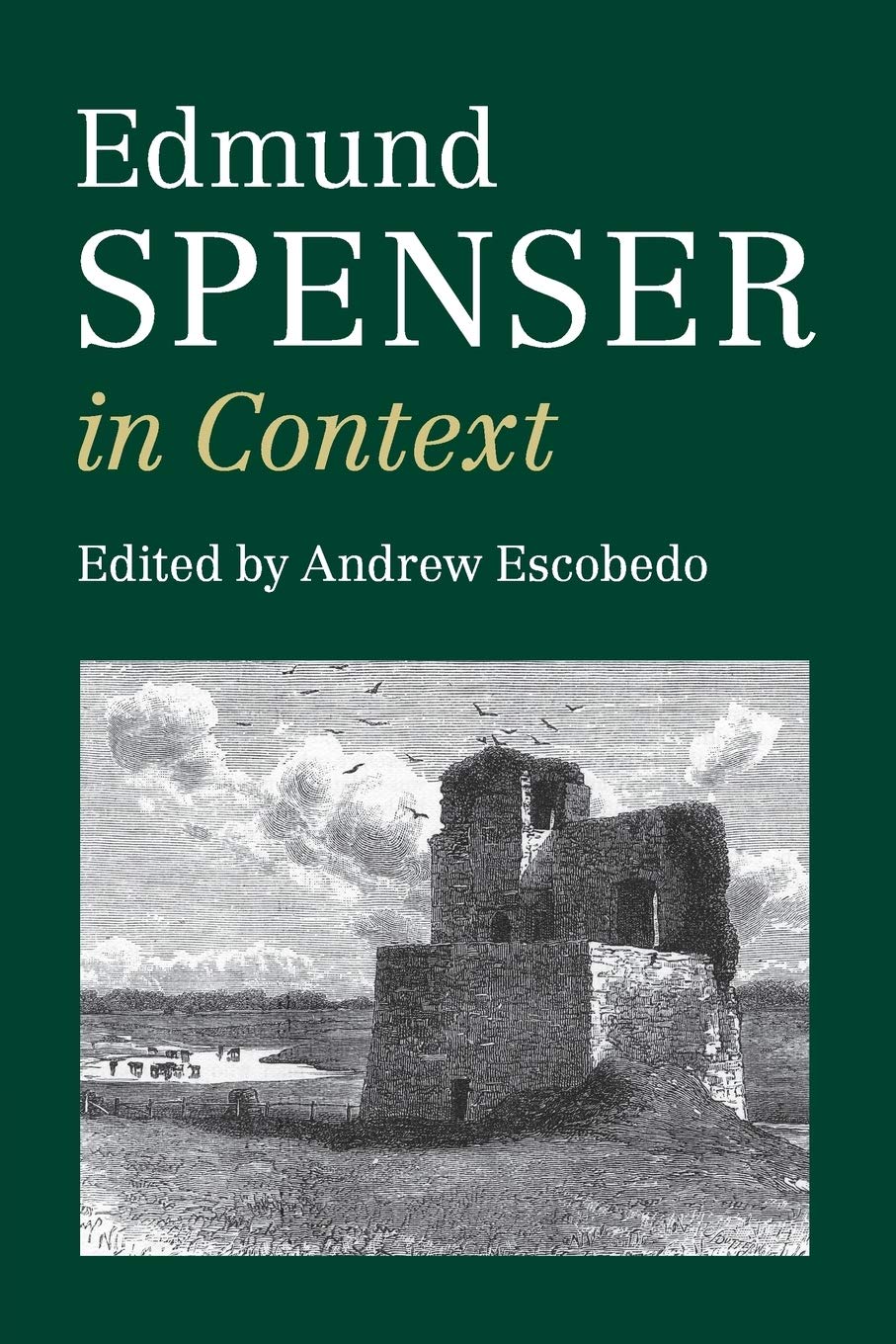 Edmund Spenser in Context (Literature in Context)