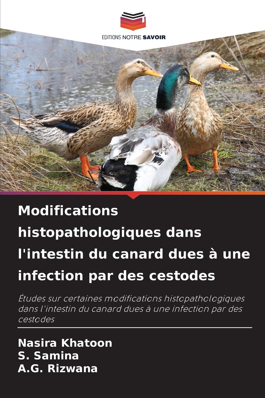 Modifications histopathologiques dans l'intestin du canard dues à une infection par des cestodes: Études sur certaines modifications ... canard dues à une infection par des cestodes