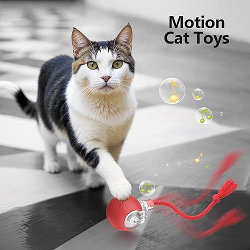 Miniatura 7 de FUNNYDUCK Bola de perro (D)