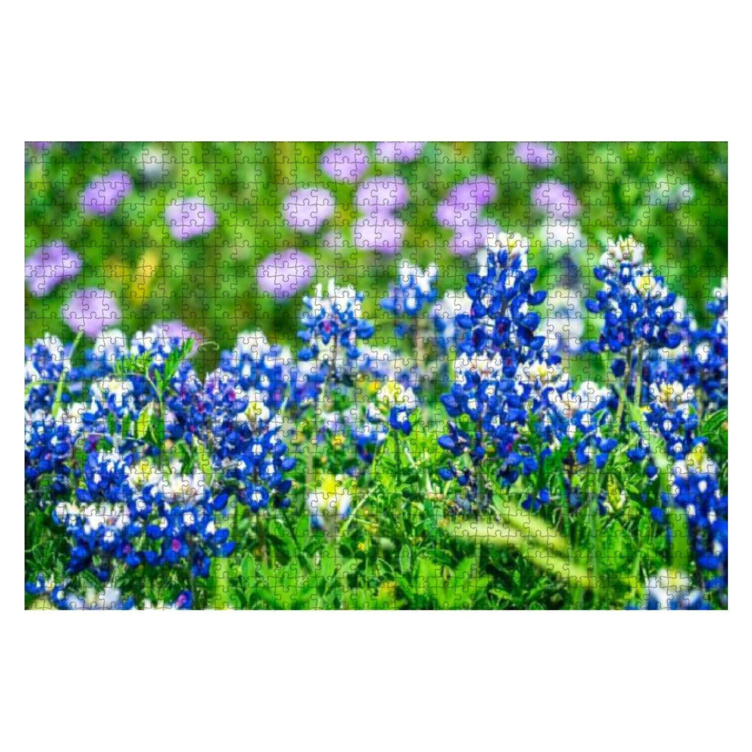 1000 Piece Close up on Texas Bluebonnet Patch with Pink Flowers in Background Large Piece Jigsaw Puzzles for Adults Educational Toy for Kids Creative Games Entertainment Wooden Puzzles Home Decor