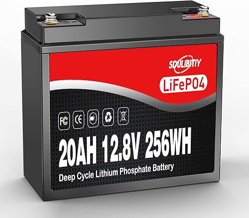 LiFePO4 LiFePO4 - Batería de litio de 12 voltios y 20 Ah LiFePO4 de 12 V, batería recargable de ciclo profundo, batería BMS integrada perfecta para