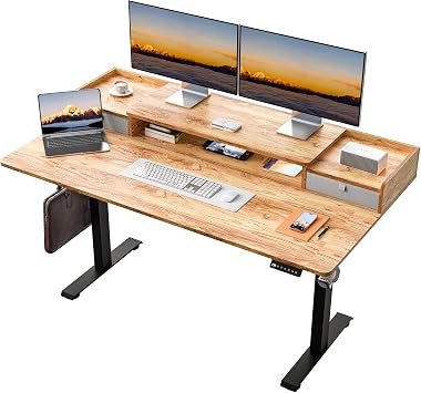 63 x 30 Inch Electric Standing Desk with 2 Drawers, Adjustable Height Widened Stand Up Desk with Storage, Sit to Stand Ergonomic Workstation for Home Office, Light Rustic