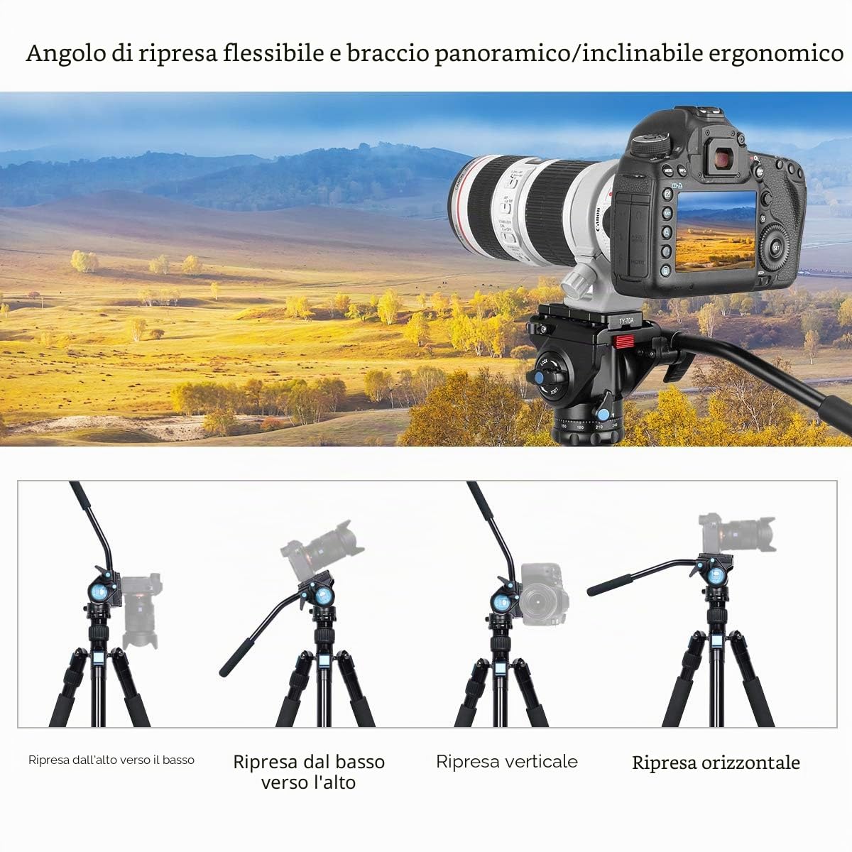 Testina video fluida SIRUI con piastra a sgancio rapido Carico massimo 3 kg 360 gradi Compatibile Arca Swiss (AM-5V)