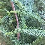 Review Image by Kelly W. Kelly W.