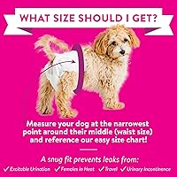 Vista 4 de Bodhi Dog Pañales desechables para perras, pañales súper absorbentes para el ciclo de calor de la hembra, ajuste ajustable para entrenamiento