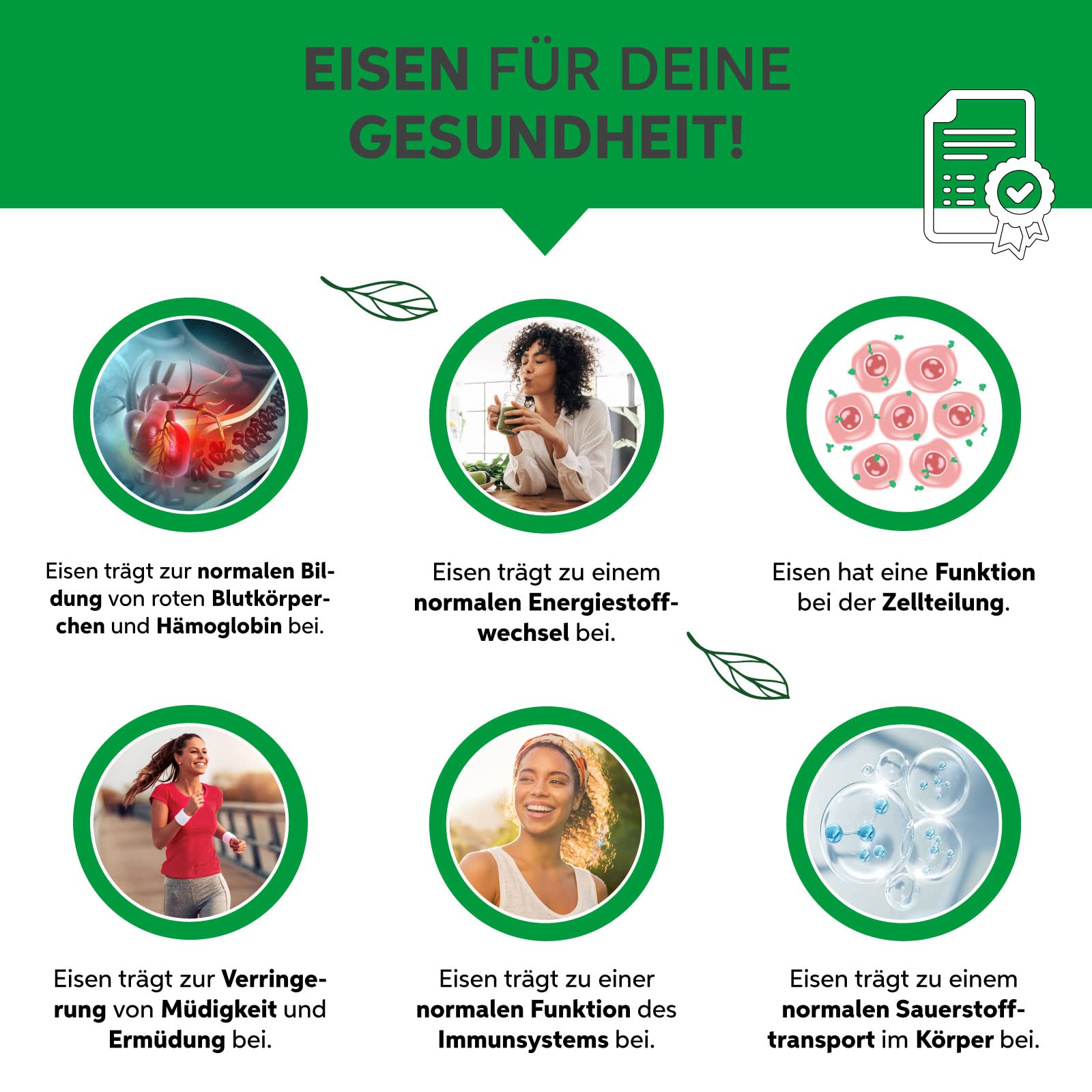 Bio Chlorella Pulver 1kg | Premium Rohkost-Qualität | 100% reines Algen-Pulver ohne Zusätze | Zellwand gebrochen Vegan