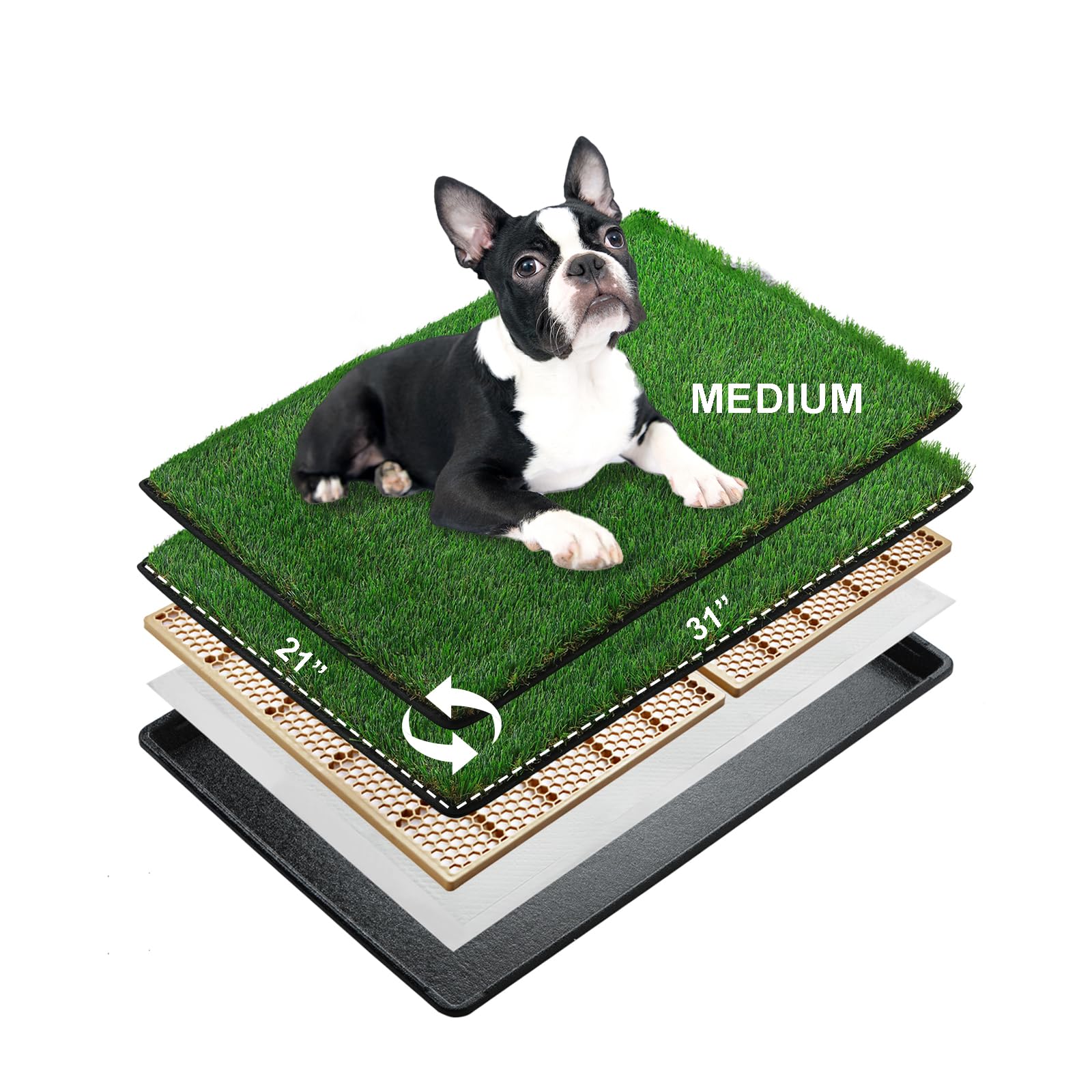MEEXPAWS Dog Grass Pee Pads for Dogs with Tray | Medium 31×21 in | 2× Dog Artificial Grass Pads | Rapid Drainage | Indoor Litter Box | Hemmed Edge