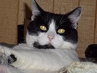 Review Image by Gabe Gabe