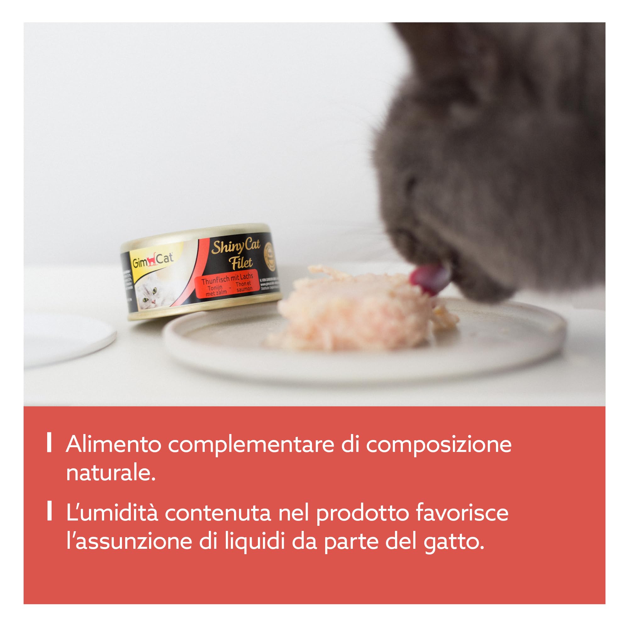 Gimcat Shinycat Broth Somon Balıklı Kedi Konservesi 70gr 24lü Satın Al EVİNEMAMA