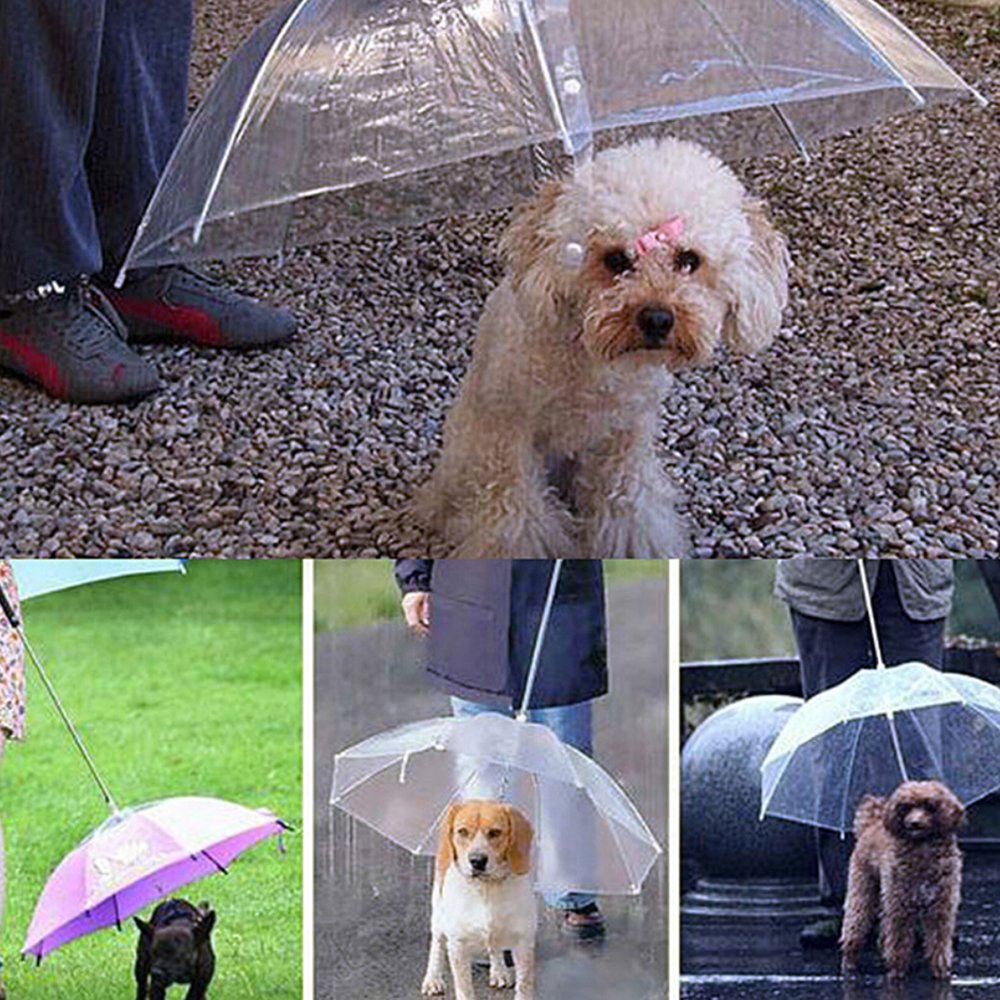 Bluelans® Transparent Waterproof Pet Dog Umbrella Keep Pet Comfotable and Dry in Rainy Day