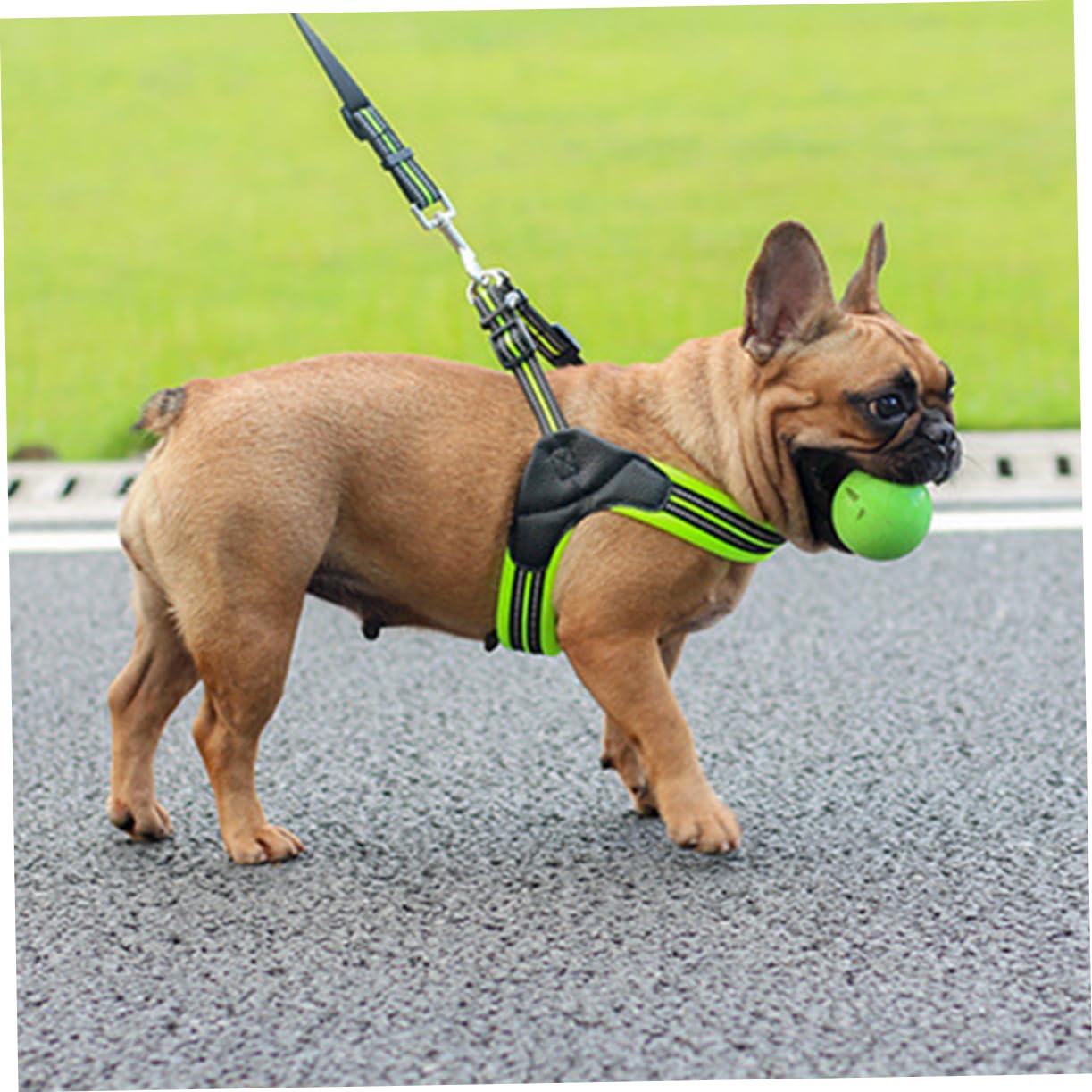 Imbracatura Riflettente e Traspirante per Cani Regolazione Pet Harness Set per Passeggiate Quotidiane