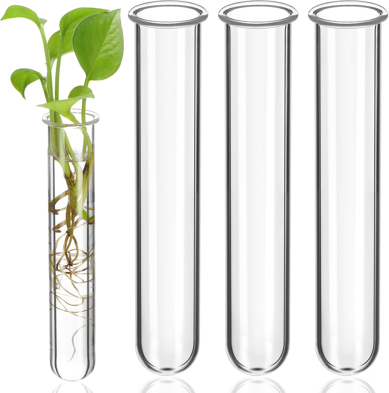 Gatuida 4pcs Clear Test Tube for Plant, Glass Propagation Tubes for Hydroponic Flower, Small Terrarium Plant Vases for Home Decor