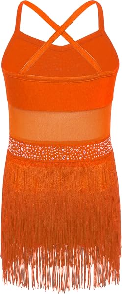 YEAHDOR Latin American Dance Dress Girls with Tassel Sequins Leotards Ballet Leotards Ballet Sleeveless Costume Samba Rumba Salsa - 4