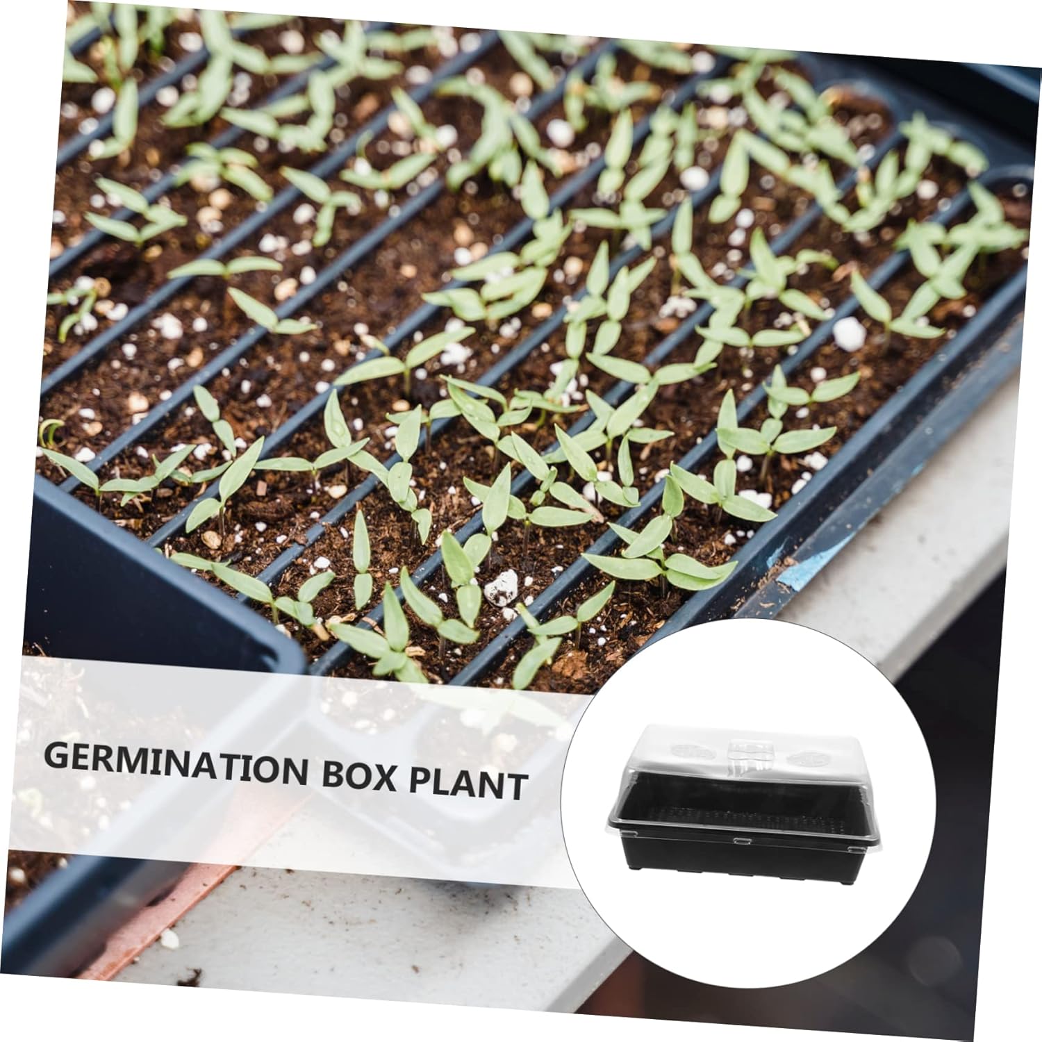 Totority 5sets Plastic Plant Germination Tray Dome Cover Reusable Nursery Box for Flowers and Vegetables for Greenhouse Gardening and Propagation