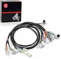 Wire Wiring Harness Main Electrical Harness For Honda FourTrax 300 2x44x4 Trx300 Trx300fw 1997 2000 32100 Hm5 A10