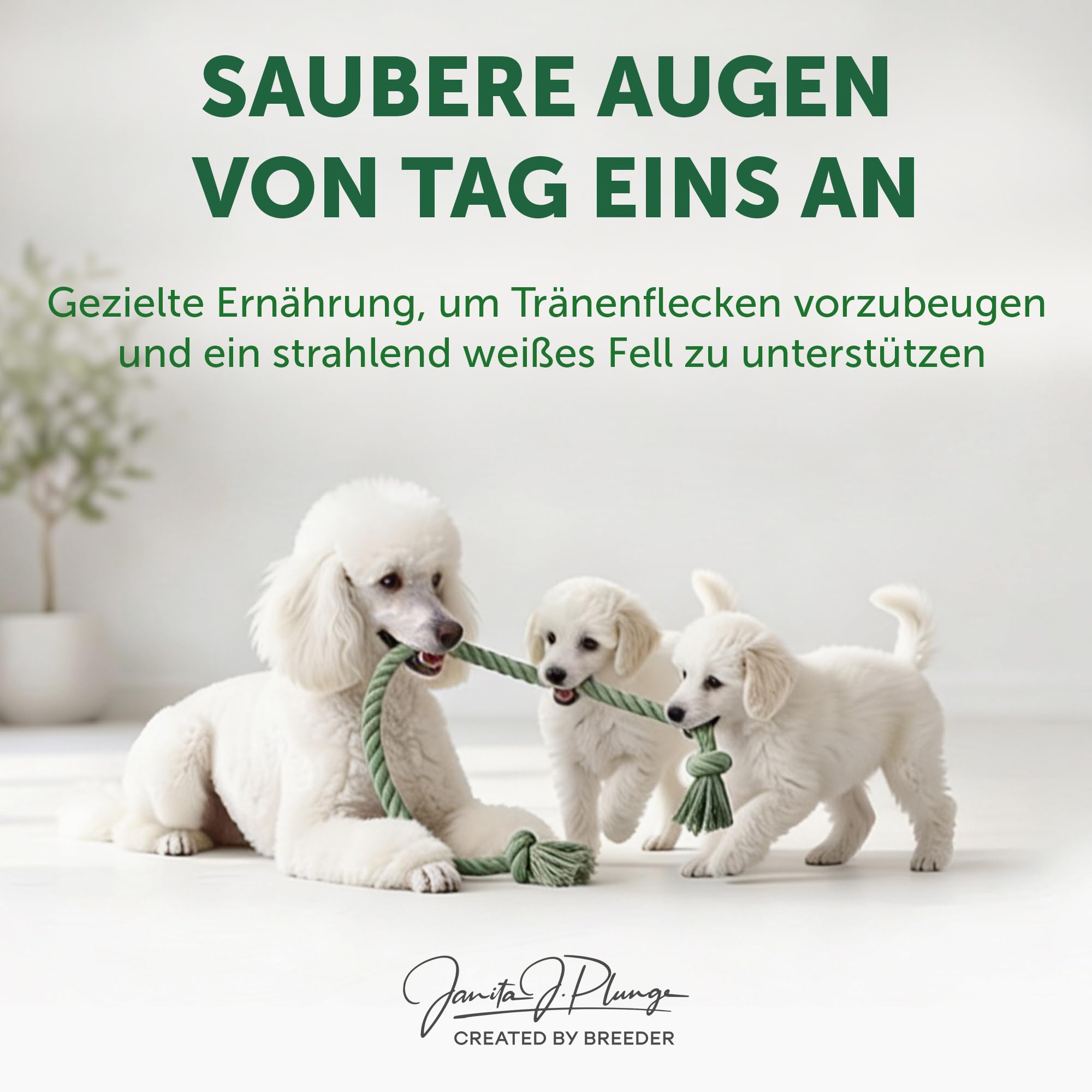 Nature's Protection Superior Care Hundefutter Trocken Getreidefrei - Hypoallergenes Welpenfutter mit Lachs für Weiße Hunde Aller Rassen, Trockenfutter für Welpen, 10kg