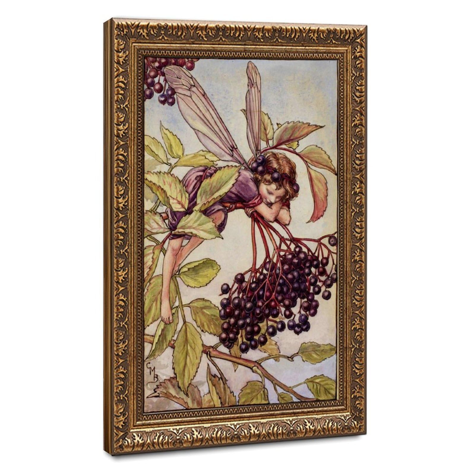 WCYB The Elderberry Fairy by Cicely Mary Barker Posters Prints Canvas Deco Paintings Wall Art Hangable Frame 8" L X 12" W