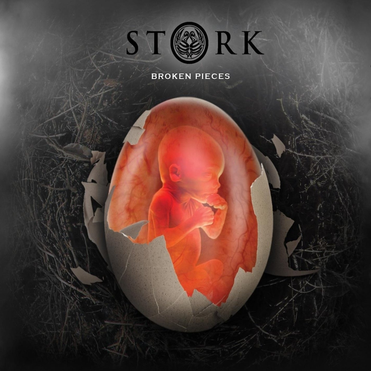 Broken Pieces Stork; Thomas Lang; Shane Gibson and VK Lynne