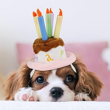 Lesypet 子犬 猫 誕生日帽子 ペット用バースデーハット パーティーコスプレ S 配送料無料